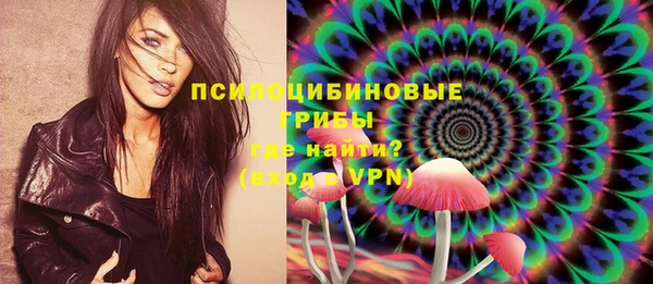 PSILOCYBIN Баксан