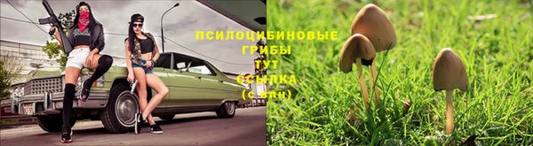 соль ск Балахна