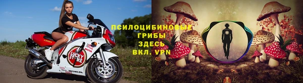 PSILOCYBIN Баксан