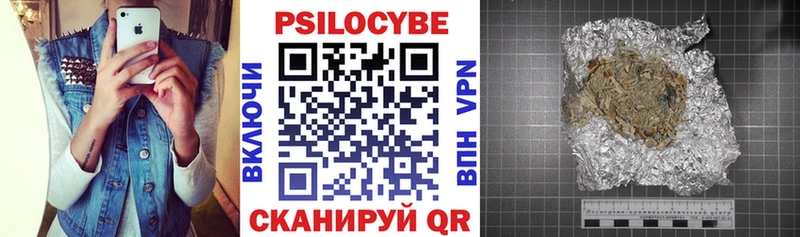 Псилоцибиновые грибы Psilocybe  hydra сайт  Магадан  наркотики 